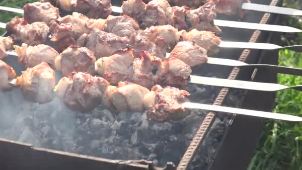 Churrasco com deliciosa carne grelhada na grelha. Festa de churrasco. Zumbido — Vídeo de Stock