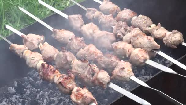 Churrasco com deliciosa carne grelhada na grelha. Festa de churrasco. Zumbido . — Vídeo de Stock