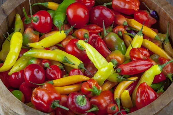 Assorted fresh and fiery hot chili peppers