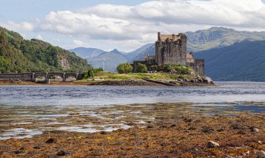 Arka planda Eilean Donan 'ın olduğu çimlerin üzerinde bir kale.