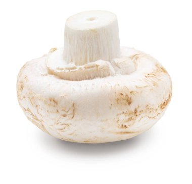 Tam mantar (Champignon, cut foot, Agaricus Bisporus) ve çiğ. Beyaz arkaplanda izole