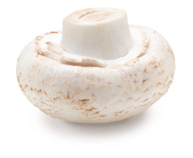 Tam mantar (Champignon, cut foot, Agaricus Bisporus) ve çiğ. Beyaz arkaplanda izole