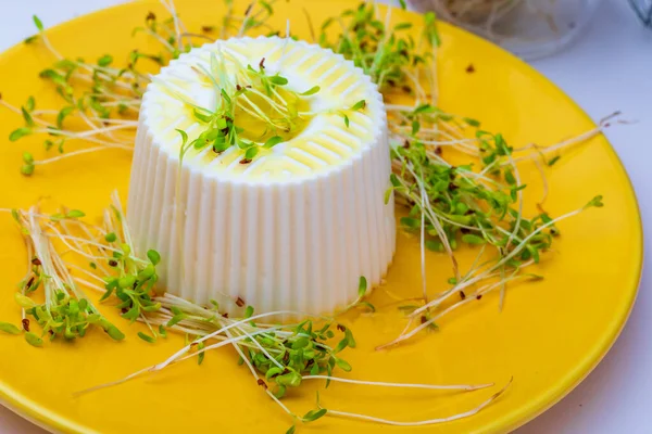新鲜奶酪 嫩苜蓿芽和初榨橄榄油促进健康饮食 — 图库照片