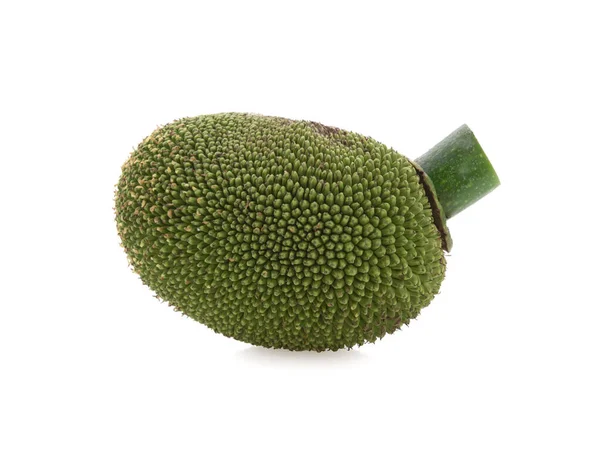 Jackfruit Isolato Sfondo Bianco — Foto Stock