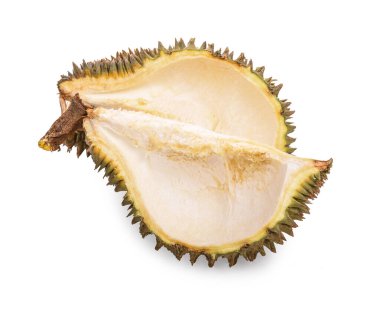Durian kabuğu beyaz arkaplanda izole edildi