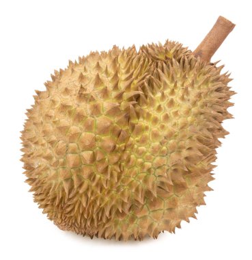Durian beyaz arkaplanda izole edildi.