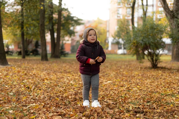 Feliz niño pequeño juega con hojas amarillas en el soleado día de otoño —  Fotos de Stock