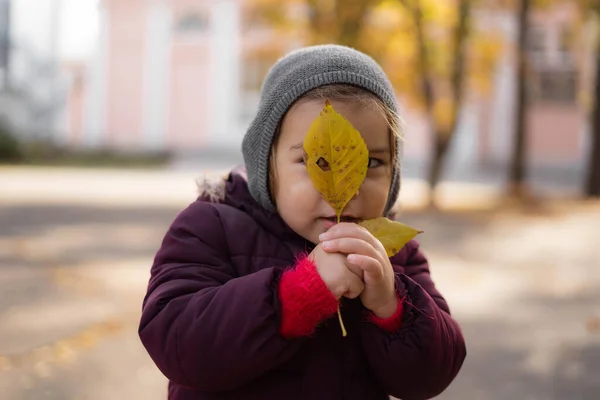 Feliz niño pequeño juega con hojas amarillas en el soleado día de otoño —  Fotos de Stock