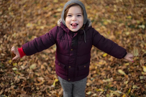 Felice bambino bambino gioca con le foglie gialle nella soleggiata giornata autunnale — Foto Stock