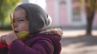 Mutlu bebek, güneşli sonbahar gününde sarı yapraklarla oynar.