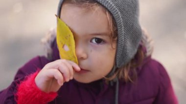 Mutlu bebek, güneşli sonbahar gününde sarı yapraklarla oynar.