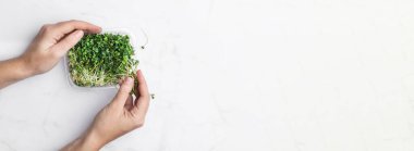 Mikroyeşiller beyaz mermer arka planda kaseler. süper yiyecek konsepti