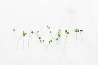 Micro greens sprouts on white marble background. superfood concept clipart