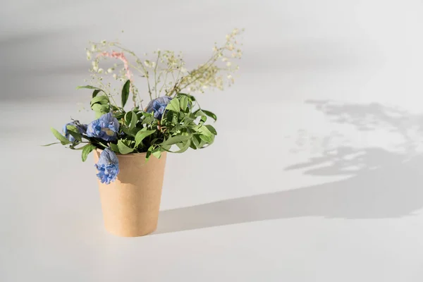 Ramo de flores secas en taza de papel artesanal sobre fondo blanco con luz solar y sombras —  Fotos de Stock