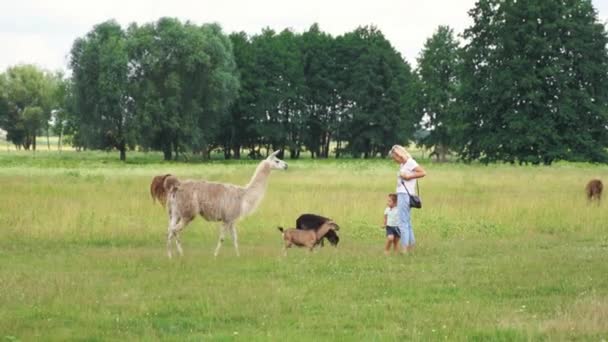 Batole holka s babičkou a zvířaty na farmě. Šťastné dětství v blízkosti přírody — Stock video