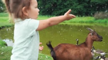 Büyükannesi ve hayvanlarıyla çiftlikte yürüyen bir kız. Mutlu çocukluk doğaya yakın