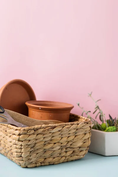 Home Ferramentas de jardinagem e pote de terracota sobre fundo azul e rosa. Trabalho doméstico de primavera — Fotografia de Stock