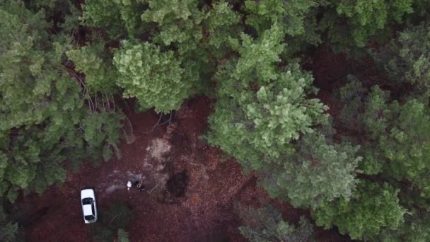 Légi kilátás örökzöld erdő és fehér autó. Kempingezés a természetben. Fenntartható helyi közlekedés. Helyreállító szökés — Stock videók