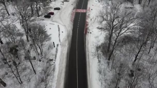 Vista aerea della strada invernale attraverso la foresta innevata. Parco nazionale viaggi locali. Viaggio in macchina. Soggiorni sostenibili durante la pandemia — Video Stock