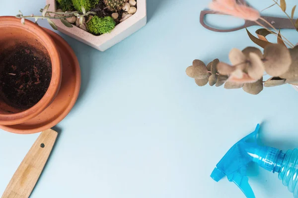 Vista superior de las herramientas de jardinería casera sobre fondo azul, hobby de jardinería casera —  Fotos de Stock