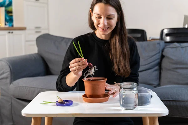 Ung tusenårig kvinna plantera lök örter hemma i en kruka. Trädgårdshobby. Noll avfall hållbar livsstil. Hälsosam ren mat — Stockfoto