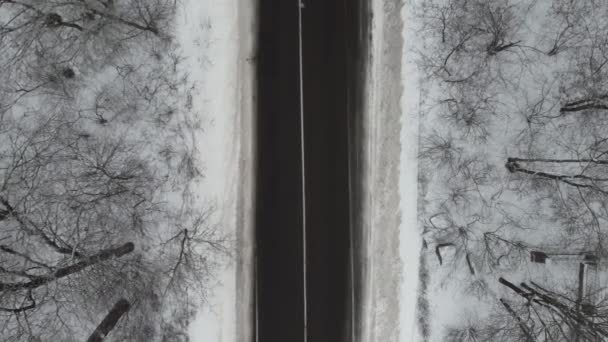 Vista aerea della strada invernale attraverso la foresta innevata. Parco nazionale viaggi locali. Viaggio in macchina. Soggiorni sostenibili durante la pandemia — Video Stock