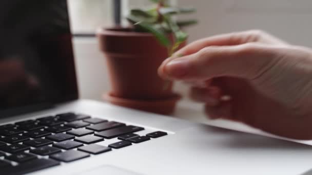 Laptop toetsenbord met planten erop. Groen IT-computerconcept. Koolstofefficiënte technologie. Digitale duurzaamheid — Stockvideo