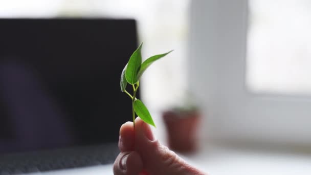 Teclado portátil con planta creciendo en él. Concepto informático verde. Tecnología eficiente en carbono. Sostenibilidad digital — Vídeo de stock