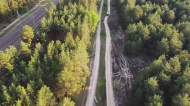 Yeşil Orman 'ın havadan görünüşü. Ormandaki beyaz arabanın doğal arka planı. Drone View. Kuş Gözü Manzarası. Yolculuk konsepti, sürdürülebilir yerel seyahat. Açık hava harika. 