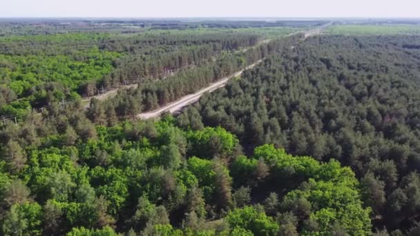 Vue Aérienne Du Paysage Forestier Vert. Natural Background Of Coniferous Forest. Vue sur drone. Vue Oiseaux. Vue de dessus de la haute attitude en soirée d'été. Voyage responsable local. Grands espaces — Video