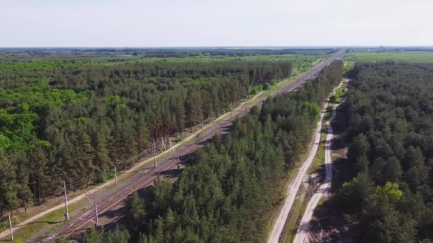 Veduta aerea della ferrovia con treno nella soleggiata giornata estiva nella foresta. Vista dall'alto della foresta nella soleggiata giornata estiva. Logistica, commercio, concetto di spedizione. Viaggio locale, concetto di viaggio su strada — Video Stock