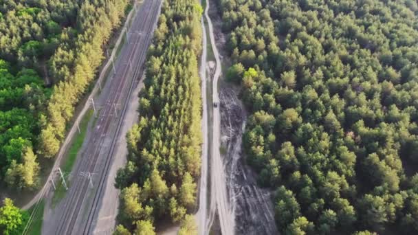 Luftaufnahme der grünen Waldlandschaft. Natürlicher Hintergrund des weißen Autos im Wald. Drohnenblick. Vogelperspektive. Roadtrip-Konzept, nachhaltiger Nahverkehr. Tolle Natur — Stockvideo