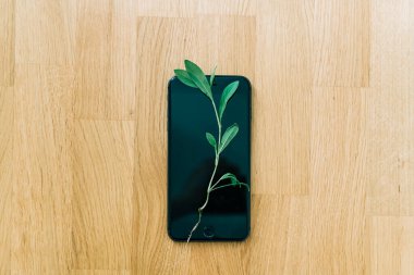 Üzerinde bitki yetişen bir telefon ekranı. Yeşil bilgi işlem konsepti. Karbon verimli teknoloji. Dijital sürdürülebilirlik. tahta arkaplan 