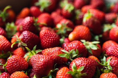 Çilekli üst görünüm arka planı. Yaz yemekleri. Çiğ taze tarım meyveleri. Sağlıklı beslenme konsepti. Çiğ yemek..