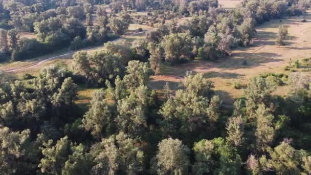 Veduta aerea della foresta in Europa con strada rurale. Tramonto drone natura video. Stile di vita Cottagecore. Bella campagna orbita video. — Video Stock