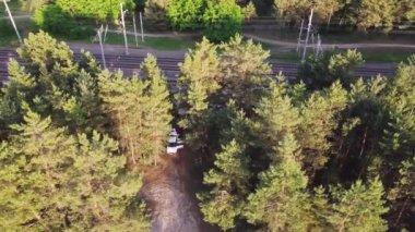 Yeşil Orman 'ın havadan görünüşü. Kozalaklı Ormanın Doğal Arkaplanı. Drone View. Kuş Gözü Manzarası. Yaz akşamında yüksek tavır sergilemekten en iyi manzara. Yerel sorumlu seyahat. Açık hava harika. 