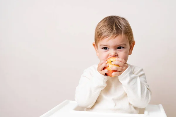 Bebê infantil com maçãs na cadeira alta. Alimentação saudável. Colheita de verão e outono. Estúdio — Fotografia de Stock