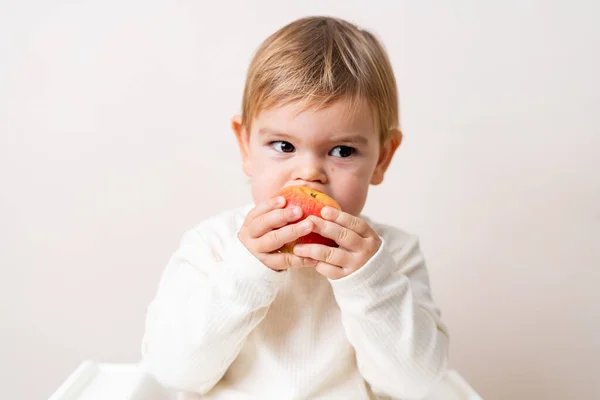 Bebê infantil com maçãs na cadeira alta. Alimentação saudável. Colheita de verão e outono. Estúdio — Fotografia de Stock