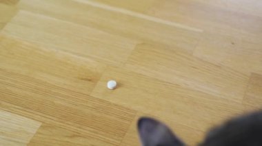 Tabağı haplarla dolu tekir kedicik. Veteriner ilaçları, hayvan hastalıkları için tedavi. Ahşap zemin, kopyalama alanı. Evcil kedi takviyesi ve vitamin yiyeceği 