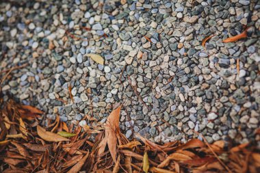 Yazın sıcak bir ülkede, güneşli havada yapraklar ve küçük taşlar.
