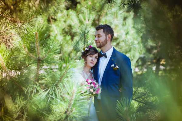 Novia y novio en el parque —  Fotos de Stock