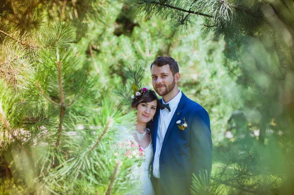 Happy couple, wedding, nature, love, — Stock Photo, Image