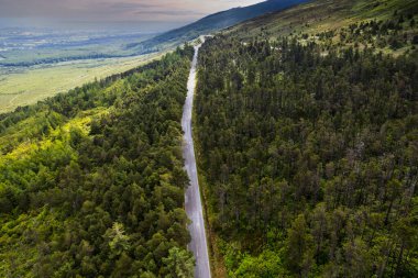 Clogheen County, Tipperary, İrlanda 'daki Knockmealdown dağlarındaki Vee Pass' a giden yol.
