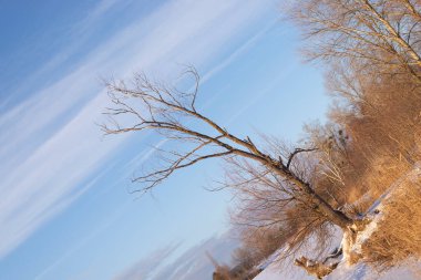Güneşli kış manzarası. Donmuş gölet. Doğal Gradyan. 2021 'de böyle bir doğa