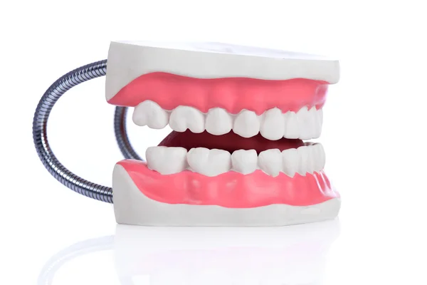 Fake teeth on white background. Dental concept — Stock Photo, Image