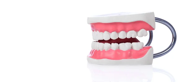 Fake teeth on white background. Dental concept — Stock Photo, Image