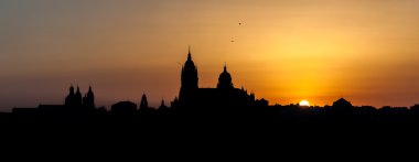 Panoramic city of Salamanca with color sky gold clipart