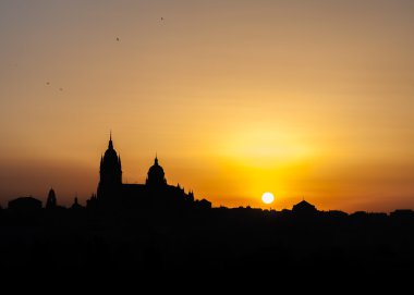 Panoramik şehir Salamanca renk gökyüzü altınla