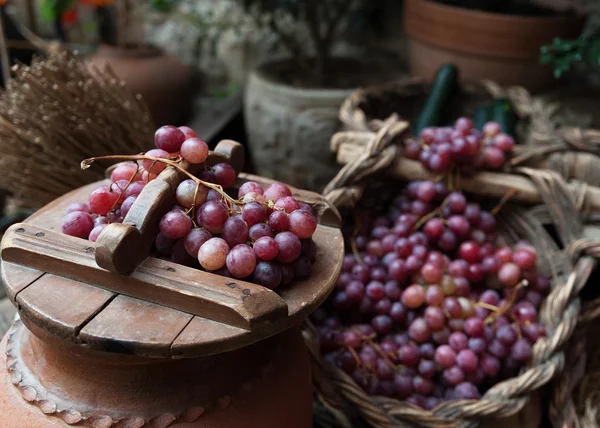 Various bunches of red grapes on wicker basket — Stock Photo, Image