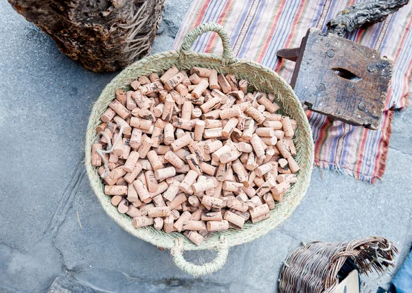 Various corks in the foreground with bark of cork oak — Stock Photo, Image